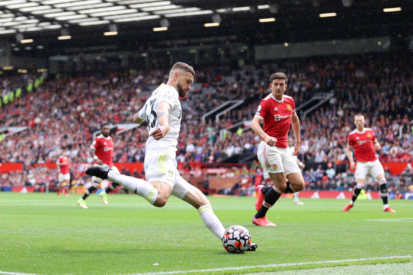 星间的情感 星间的情感